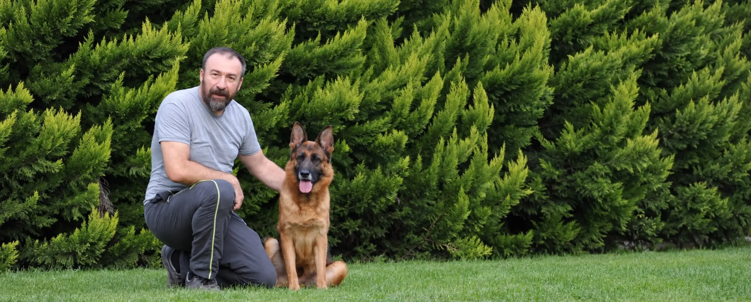 Köpeklerimiz